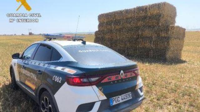 La Guardia Civil investiga la estafa de las alpacas de forraje