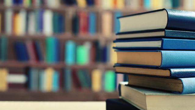 Imagen de archivo de libros de texto