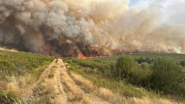 Incendio de nivel 2 en Puercas de Aliste (Zamora)