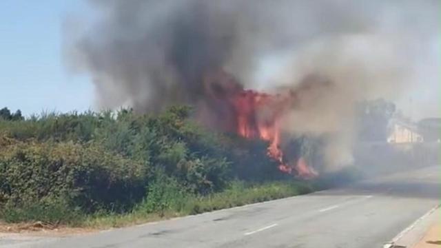 Incendio en el Monte de San Pedro