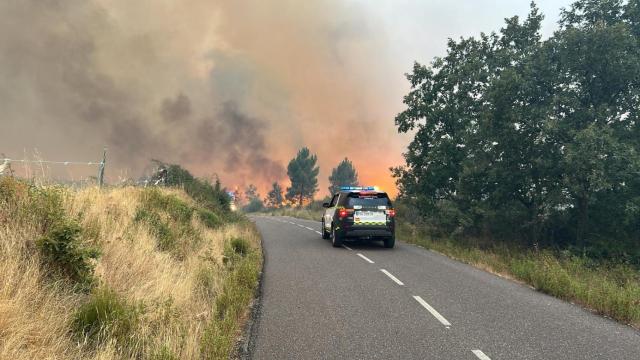 Incendio de Puercas de Aliste (Zamora)