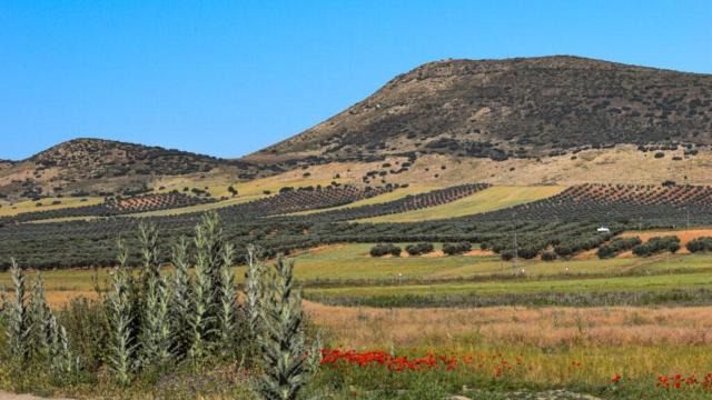 Campos de Ajofrín