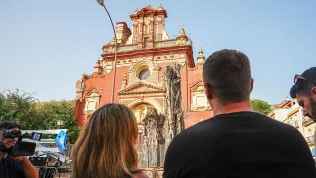 Imagen de un hombre y una mujer viendo cómo talan el ficus de San Jacinto.