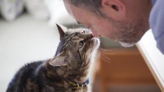 Un veterinario revela cómo lograr una socialización felina sin estrés: "No lo acaricies mientras le des comida"