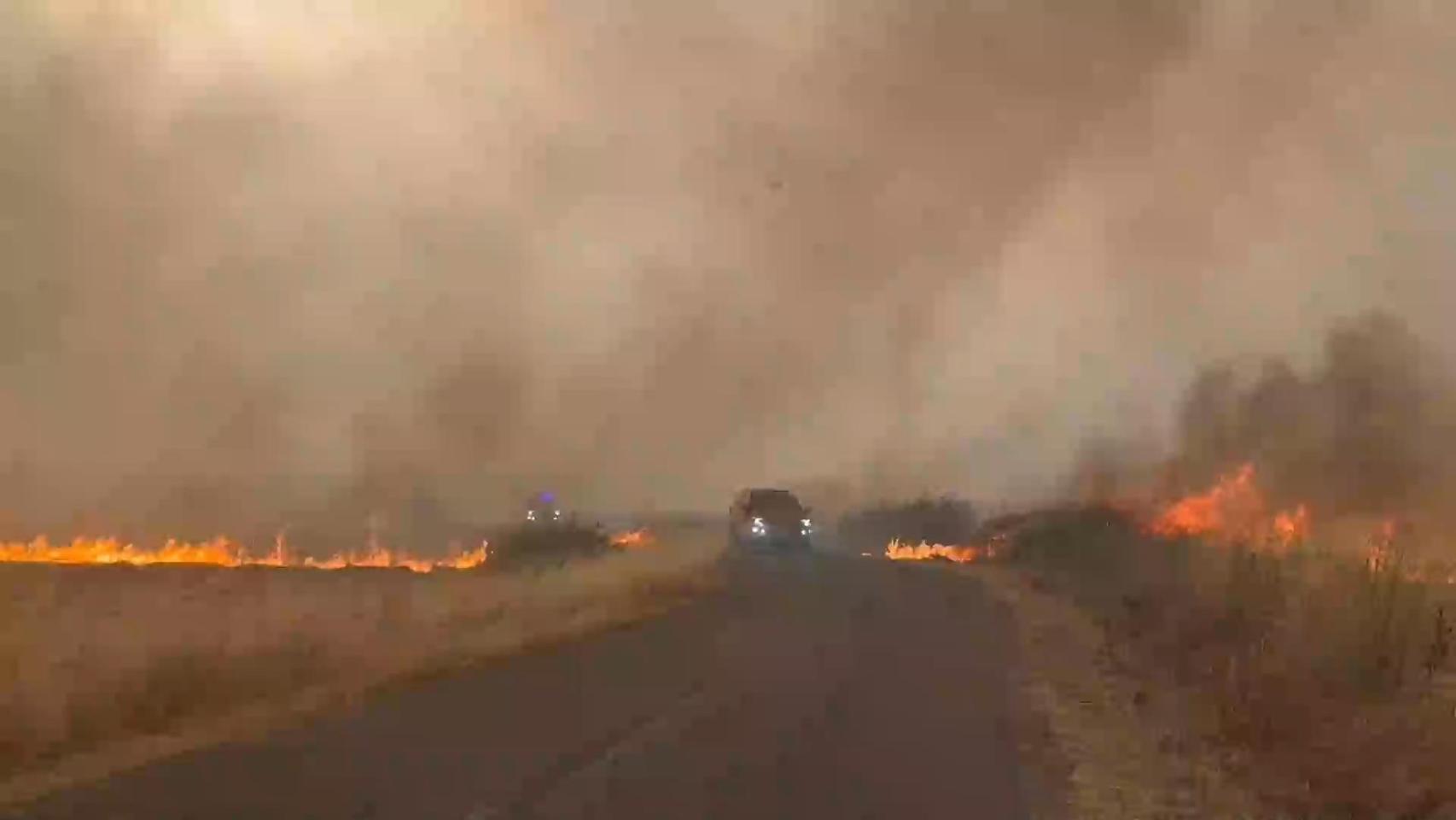 Los incendios arrasan 100.000 hectáreas en lo que va de año: la situación es  grave  en Ourense, León y Zamora