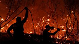 Bomberos intentan extinguir un fuego mientras un incendio forestal continúa ardiendo en Delvina, Albania, el 12 de agosto de 2025.