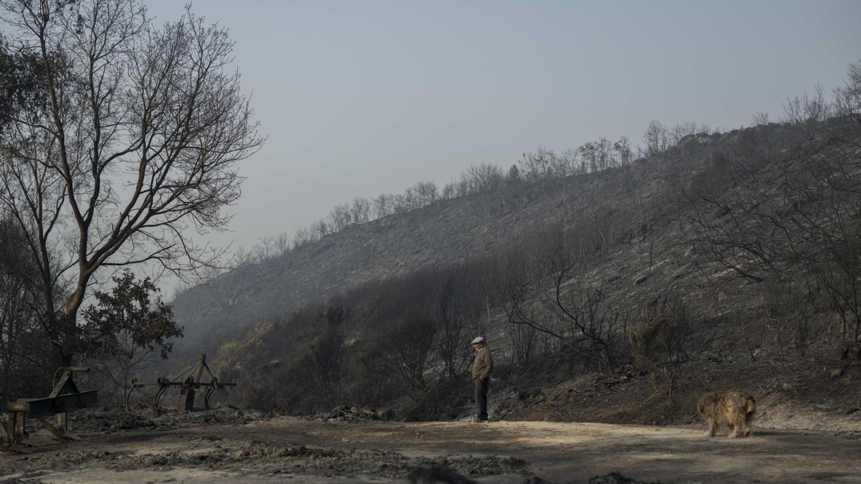 Los incendios dejan 3 muertos, 84.000 hectáreas arrasadas en una semana y complican la operación salida del puente