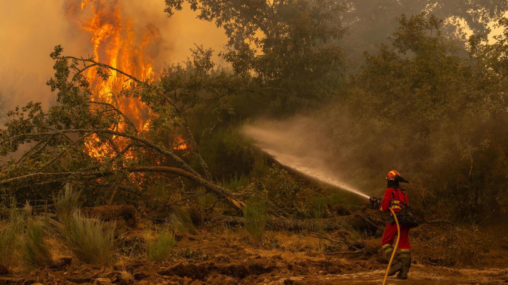 A Coruña se volcará con los afectados por los incendios tras la extinción de los fuegos