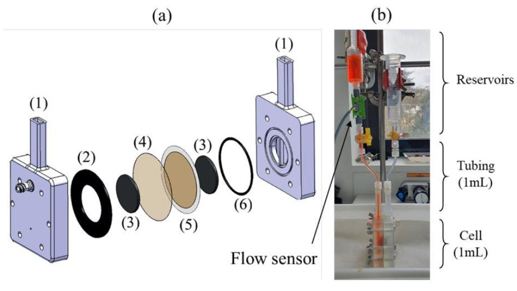 Esquema del sistema de filtrado en pruebas con colorante