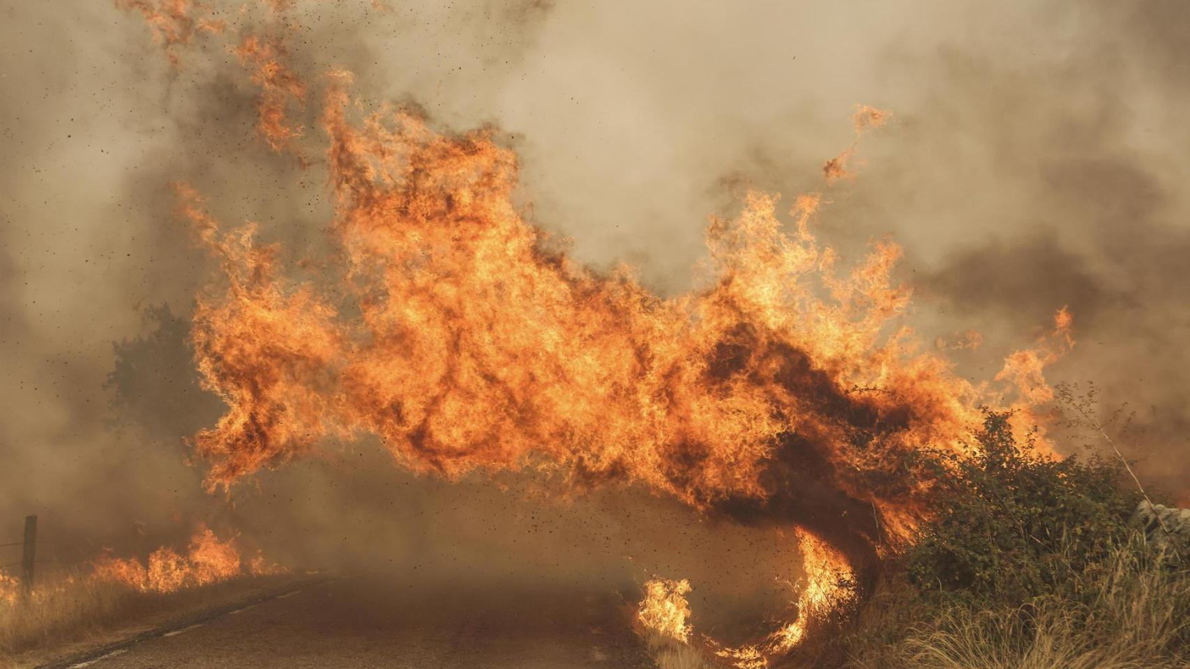 Incendios en España, última hora en directo | Castilla y León roza los 30 fuegos activos con varios puntos de gravedad extrema