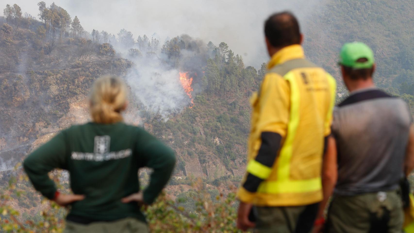 Incendios en España hoy, en directo | El fuego ha quemado al menos 157.000 hectáreas en todo el país y avanza sin control por Orense, León y Extremadura