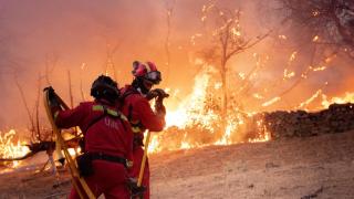 Aire, Tierra y Armada, juntos en la guerra contra el fuego: la Unidad Militar de Emergencias recibe el apoyo de todas las FAS