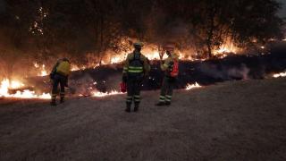 Castilla y León, devorada por el fuego y sin descanso: 10 incendios de nivel 2 amenazan ahora León y Zamora