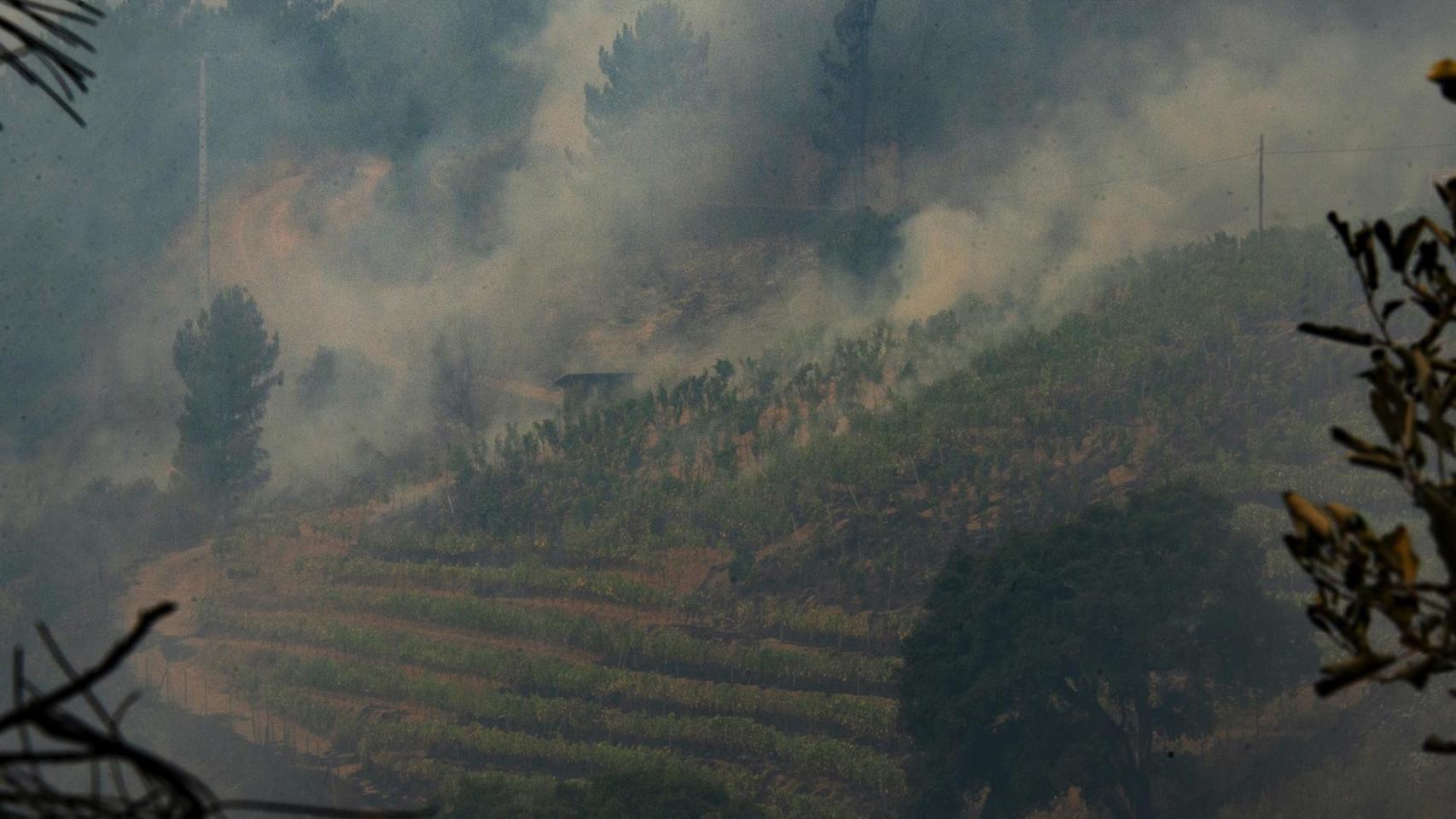 El fuego vuelve a golpear a Ourense: el incendio iniciado en Zamora traspasa la frontera