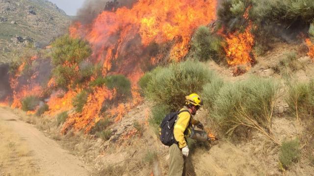 Incendio en la Sierra de Béjar cerca de Candelario