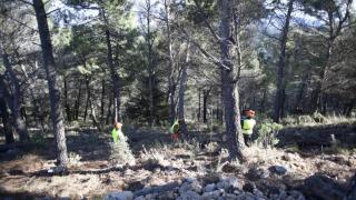 Biomasa contra el fuego: la Diputación refuerza la limpieza forestal en la Sierra de las Nieves y la Serranía de Ronda