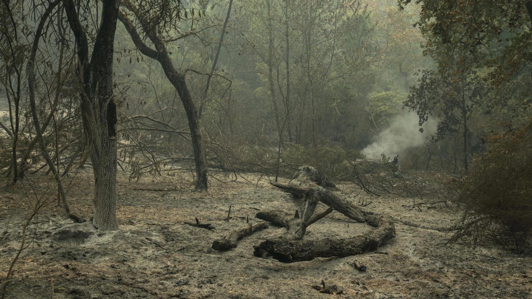 Los efectos de las tormentas tras los megaincendios:  Hacen que el suelo sea mucho más sensible a los procesos de erosión 