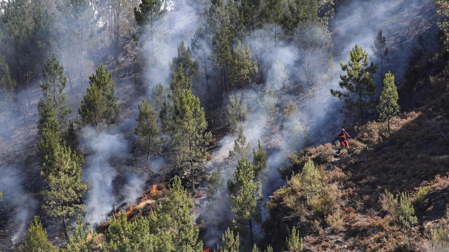 Se mantienen 40 incendios activos en toda España: la situación es crítica en Galicia, Extremadura y Castilla y León