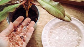 No lo tires a la basura: el abono casero considerado como 'oro marrón' para revivir tus plantas y hacer que crezcan