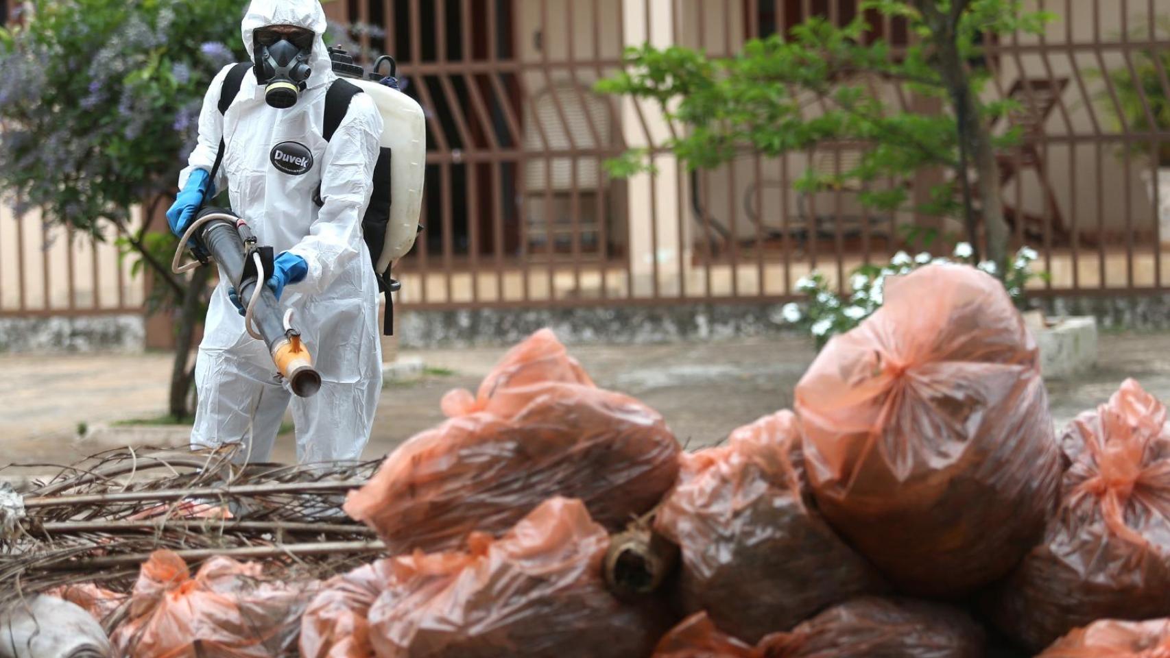 Del dengue al chikungunya, Europa alerta de un récord de enfermedades tropicales:  Entramos en una nueva fase 