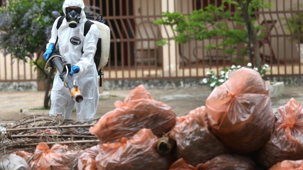 Un operario pulveriza las calles de Brasilia con productos anti-mosquitos en una foto de archivo.