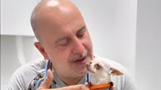 Carlos Rodríguez (61), veterinario, sin rodeos ante el sufrimiento de un perro: "Tiene toda la pinta de poder ser..."