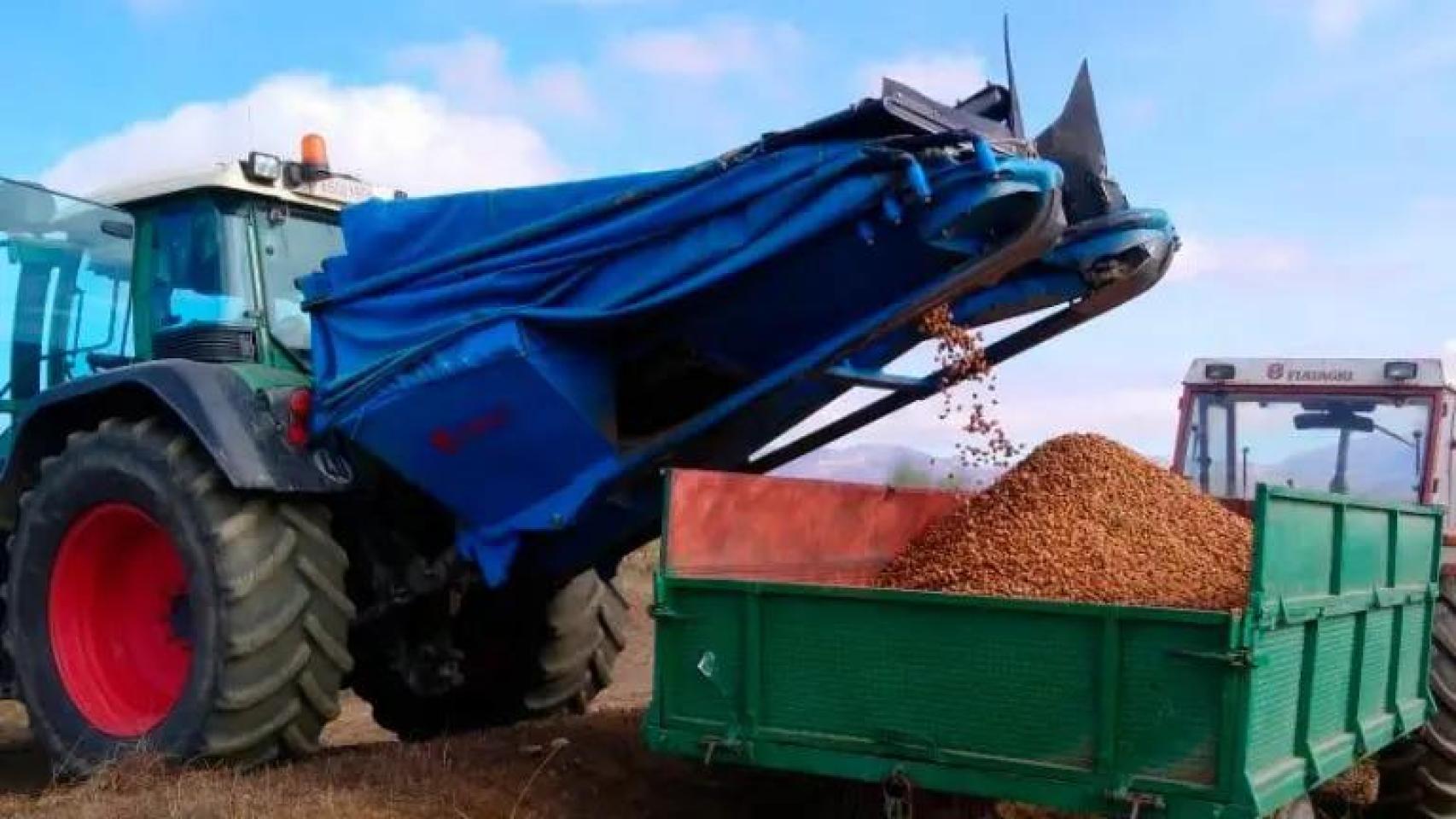 El campo se rebela por el  nefasto  acuerdo arancelario entre la UE y EEUU:  Sus frutos secos sí llegarán a coste cero 