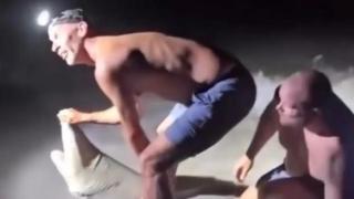 Un pescador de Florida es hospitalizado de urgencia tras ser mordido por un tiburón mientras se sacaba una foto con el animal