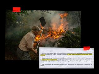 Un tercio de España no se toca: las leyes ambientales dificultan retirar del monte las 60 M de toneladas de maleza inflamable