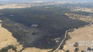 Moronta sufre un incendio forestal que moviliza a brigadas terrestres y medios aéreos