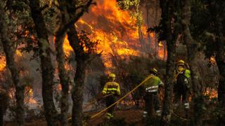 “Esto no es un decorado”: vecinos de Sanabria denuncian el turismo del fuego tras los incendios