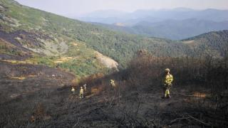 Los efectivos aragoneses en León siguen luchando contra el fuego: atacan por cielo y tierra los incendios