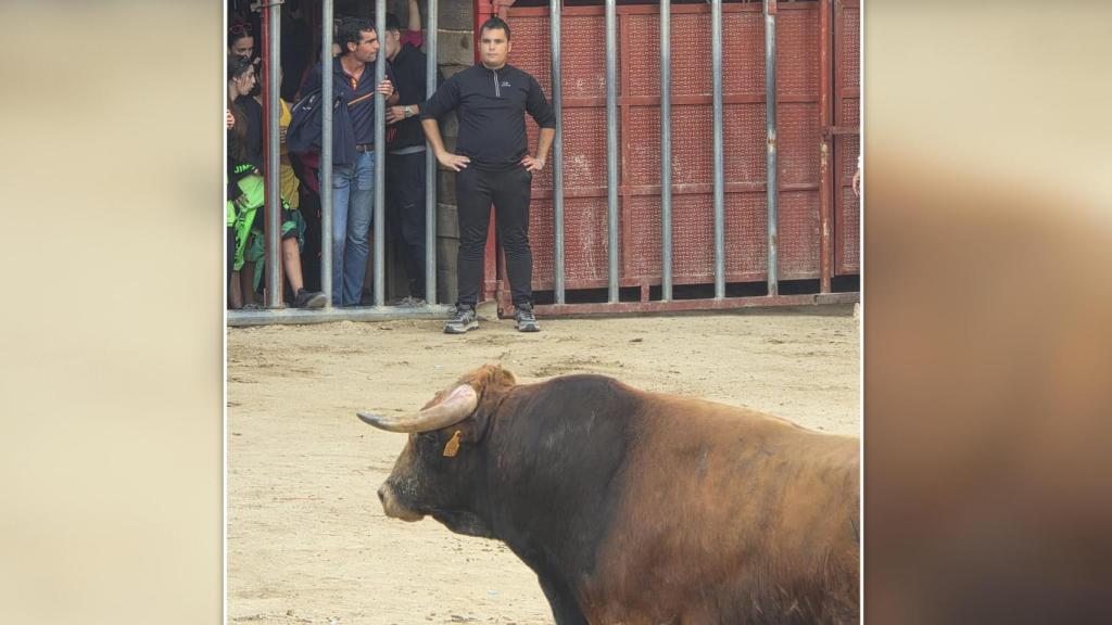 Un encierro en Aldeadávila de la Ribera