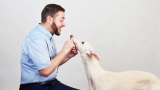 Eloi Sarrió, abogado director, denuncia las medidas de protección para animales: "La Ley existe, pero nadie la cumple"