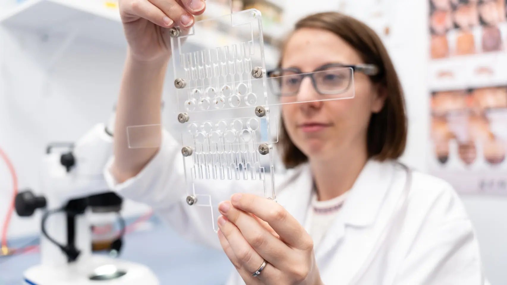 Miniatura de la noticia